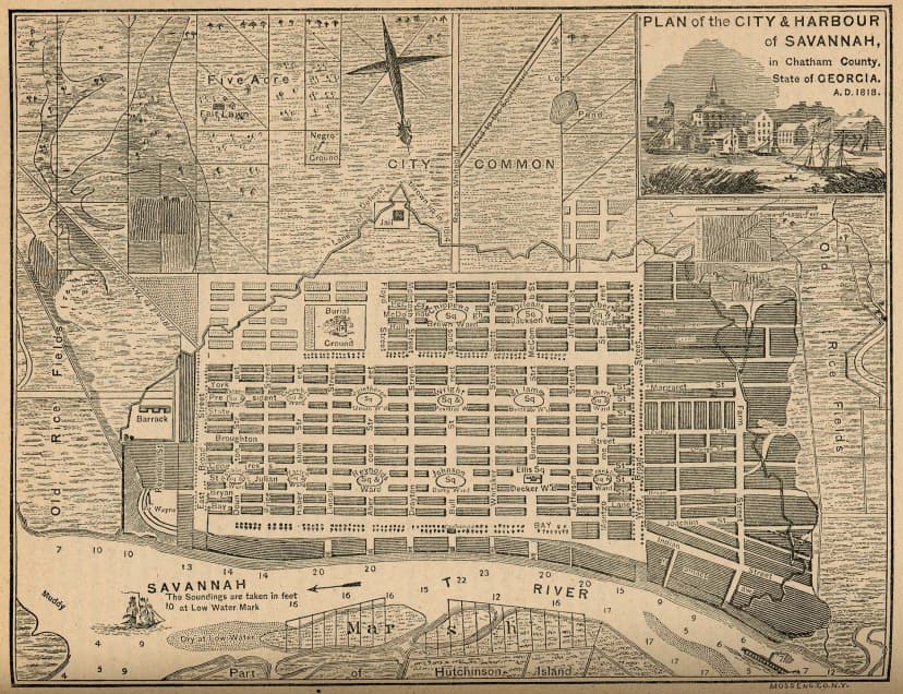 Savannah plan detail